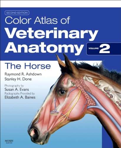 Color Atlas of Veterinary Anatomy Volume 2: The Horse