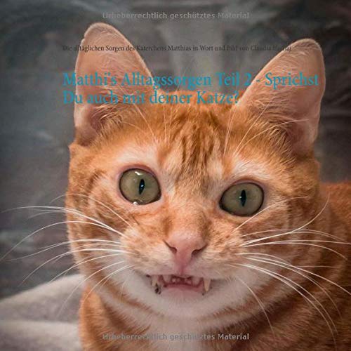 Matthi's Alltagssorgen Teil 2 - Sprichst Du auch mit deiner Katze? (Matthi's Alltagssorgen - Sprichst Du auch mit deiner Katze?)