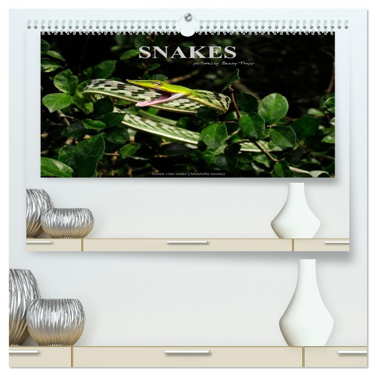 SNAKES / UK-Version (High Quality Premium Wall Calendar 2026 DIN A2 landscape),CALVENDO 12 Month Wall Calendar: Snakes, fascinating reptiles, snake calendar, reptile, Benny Trapp