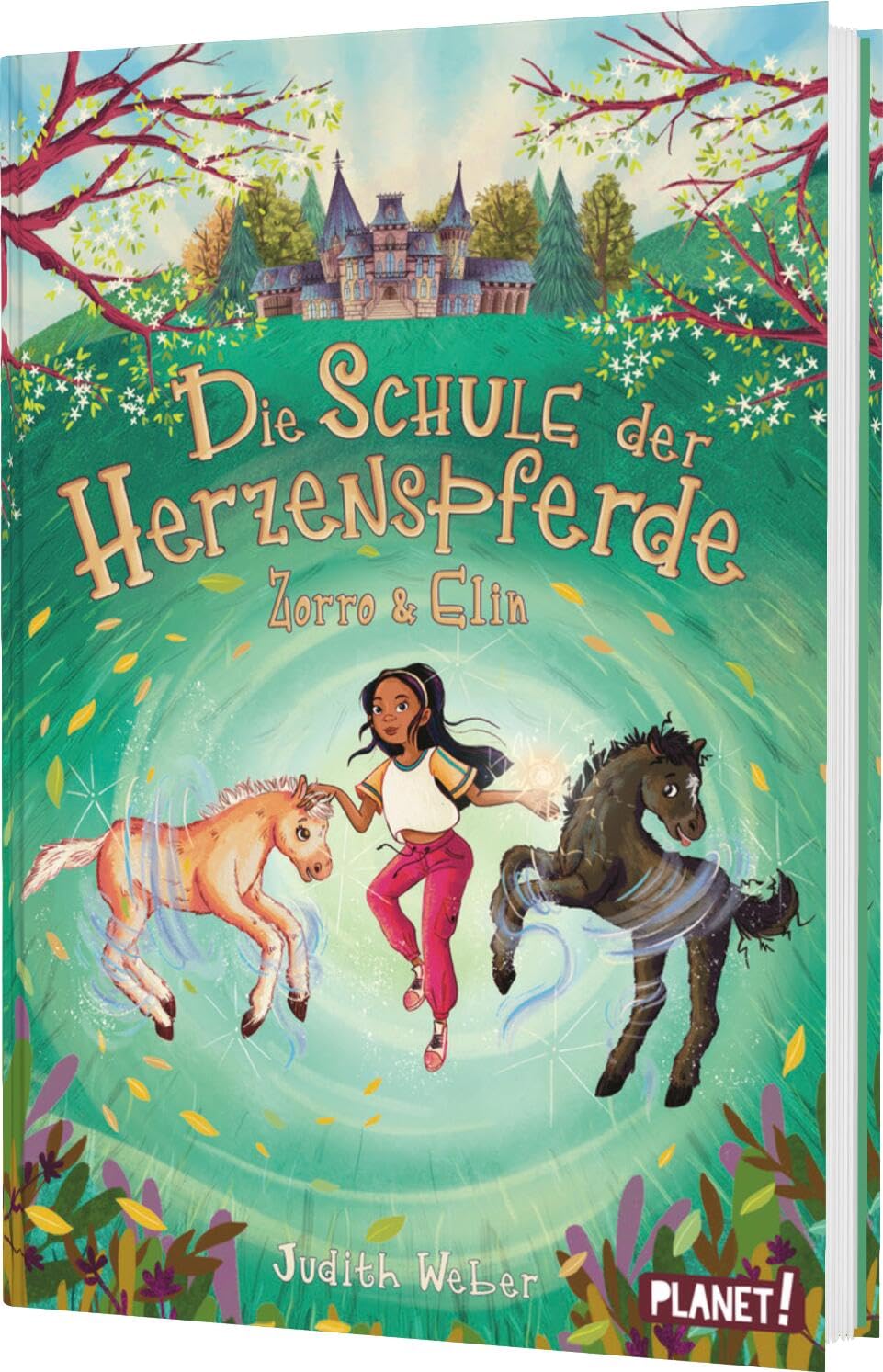 Die Schule der Herzenspferde 3: Zorro & Elin: In der Schule der magischen Pferde findet jeder einen Freund! - LeseChecker (3)