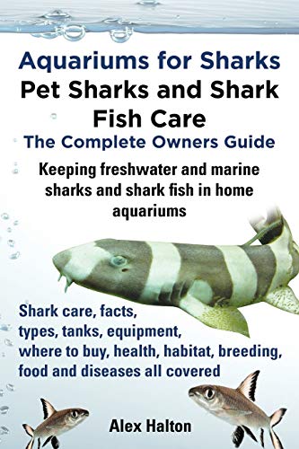 Aquariums for Sharks. Keeping Aquarium Sharks and Shark Fish. Shark Care, Tanks, Species, Health, Food, Equipment, Breeding, Freshwater and Marine ... Habitat, Breeding and Food All Includes