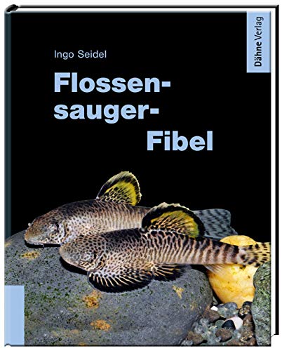 Flossensauger-Fibel: Die beliebtesten Arten fürs Aquarium