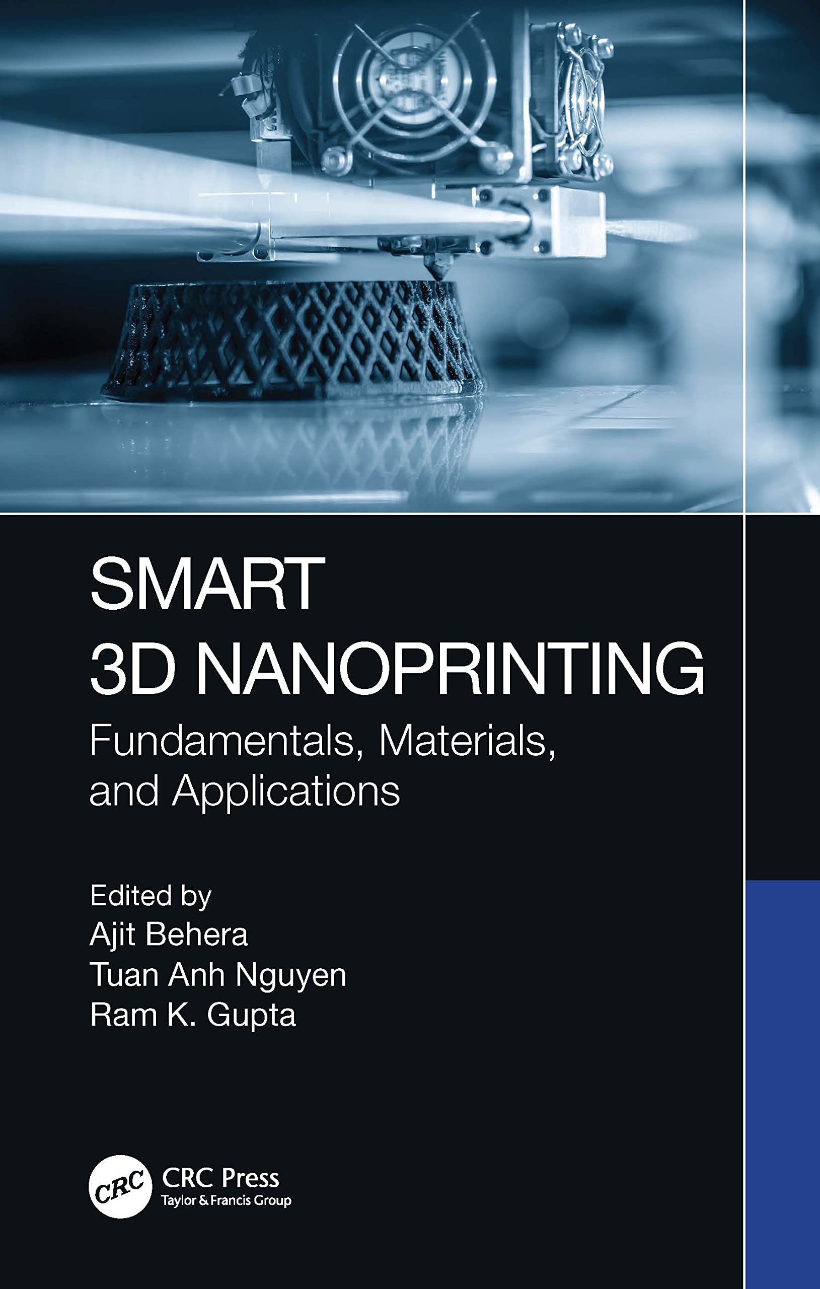 Smart 3D Nanoprinting: Fundamentals, Materials, and Applications (Smart 3d/4D Printing)