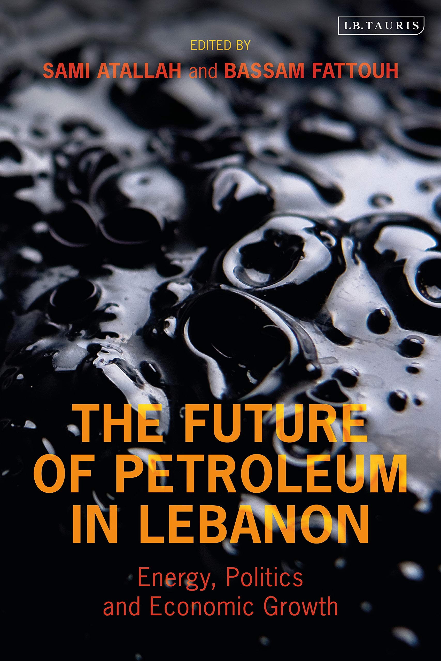 The Future of Petroleum in Lebanon: Energy, Politics and Economic Growth (Library of Modern Middle East Studies)