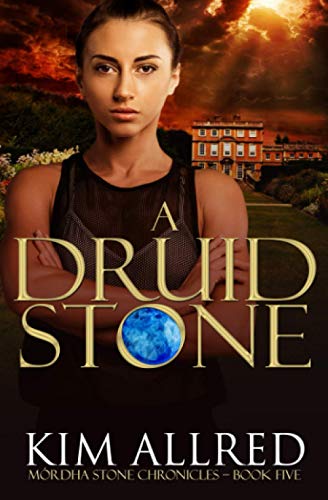 A Druid Stone: A Time Travel Romance Adventure (Mórdha Stone Chronicles, Band 5)