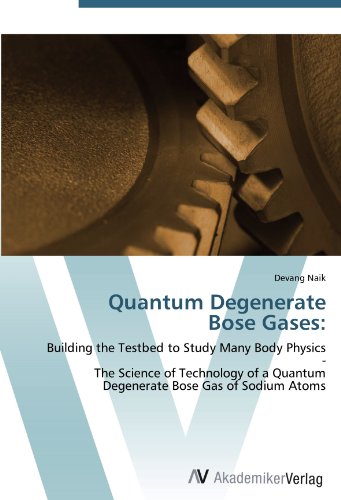 Quantum Degenerate Bose Gases:: Building the Testbed to Study Many Body Physics - The Science of Technology of a Quantum Degenerate Bose Gas of Sodium Atoms