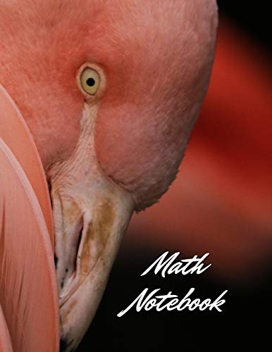 Math Notebook: 120 pages, math notebook, quad ruled workbook, 8.5 x 11 inch large soft cover journal, 4 squares per inch| suited for kids and students