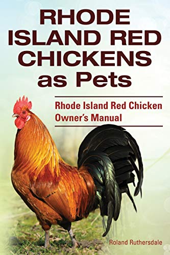 Rhode Island Red Chickens as Pets. Rhode Island Red Chicken Owner's Manual