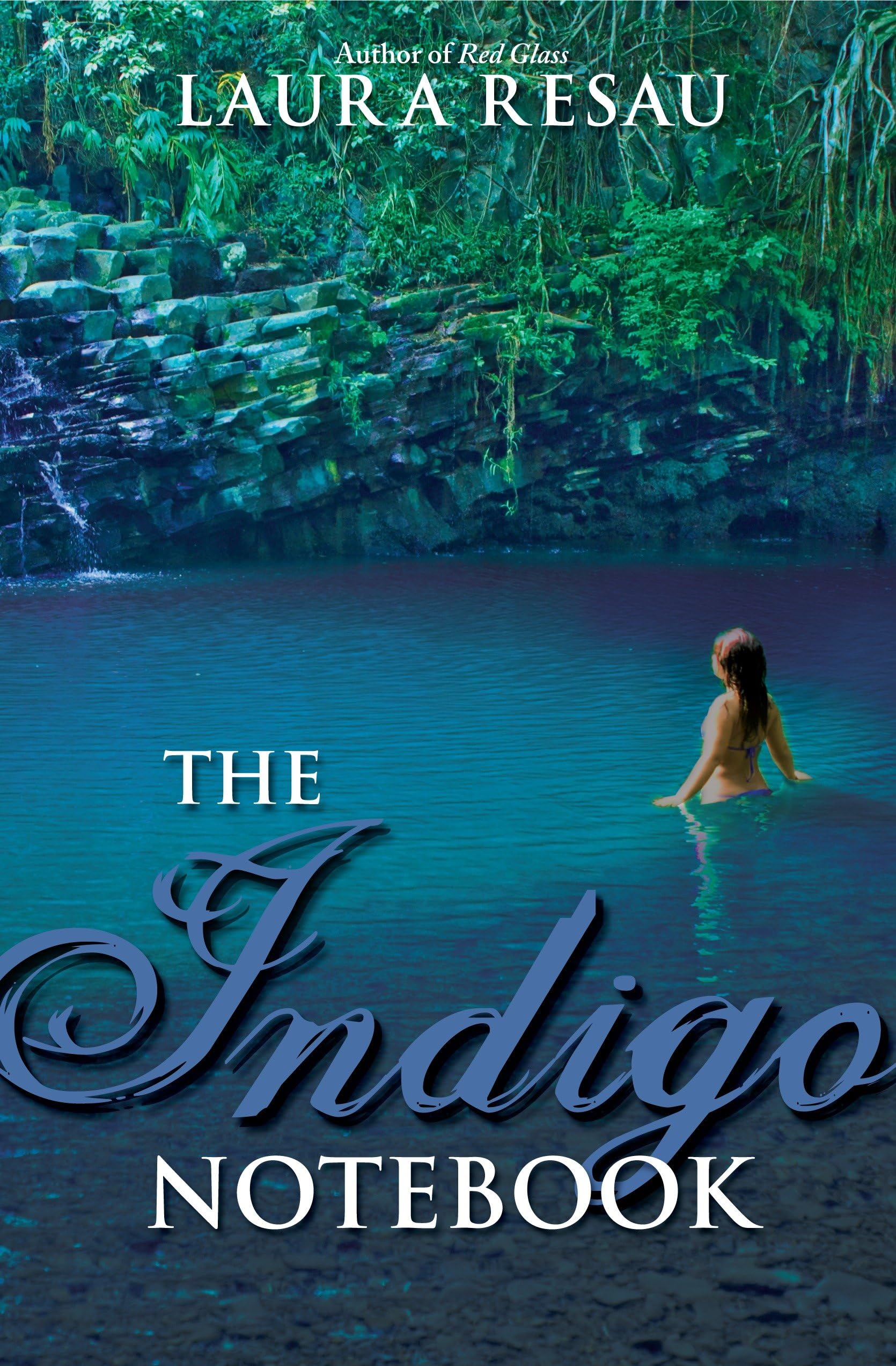 The Indigo Notebook (Notebook Series, Band 1)
