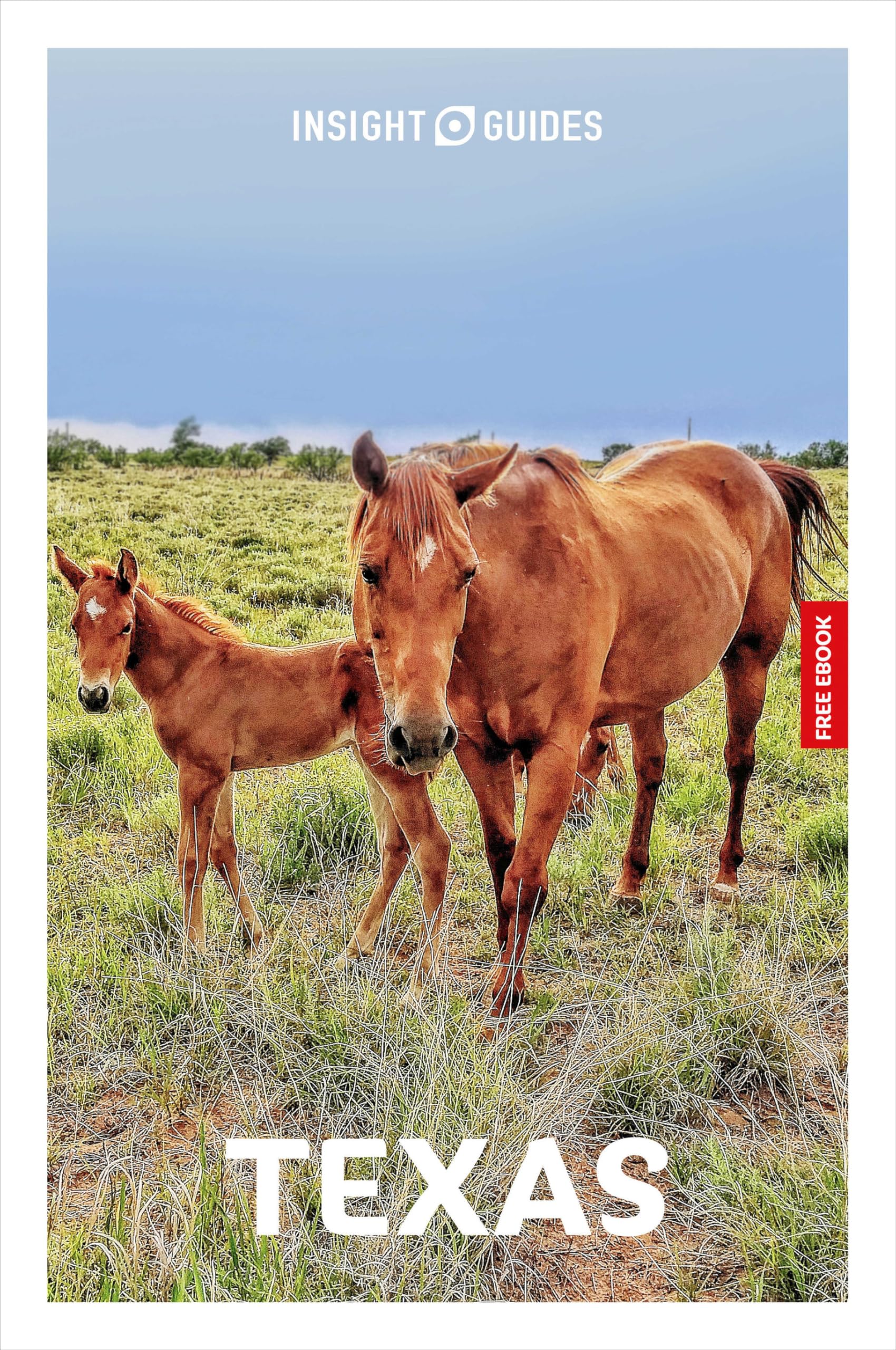 Insight Guides Texas: Travel Guide with eBook: Travel Guide With Free Ebook