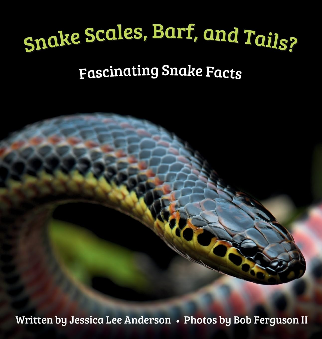Snake Scales, Barf, and Tails? Fascinating Snake Facts