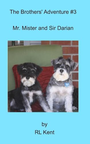 The Brothers' Adventure #3: : going for the gold: going for the gold