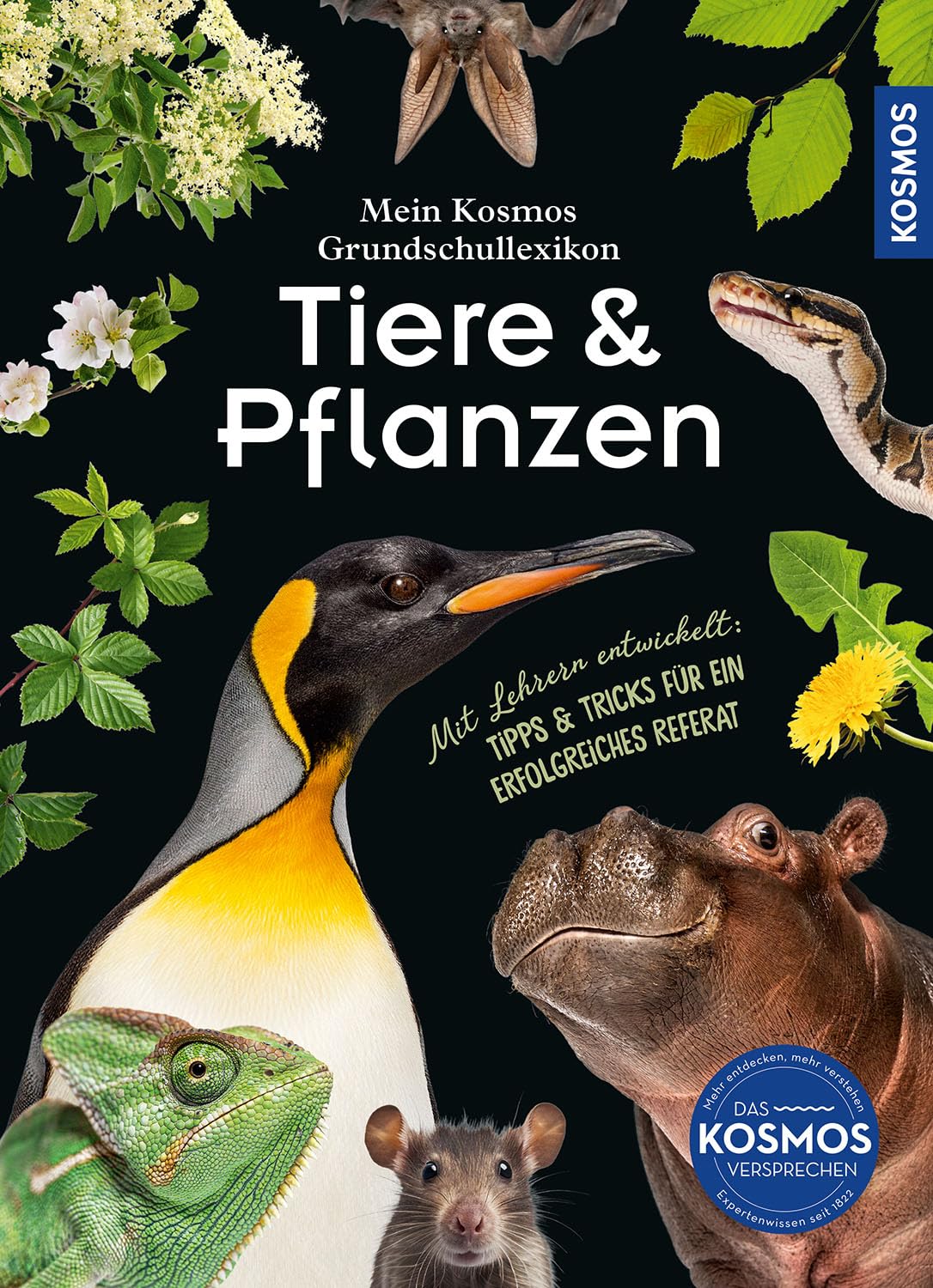 Mein Kosmos Grundschullexikon Tiere & Pflanzen: Mit 300 Tieren & Pflanzen von A bis Z, für neugierige Kinder ab 8 Jahren, mit Extraseiten für das erste Referat – mit Grundschullehrern entwickelt.