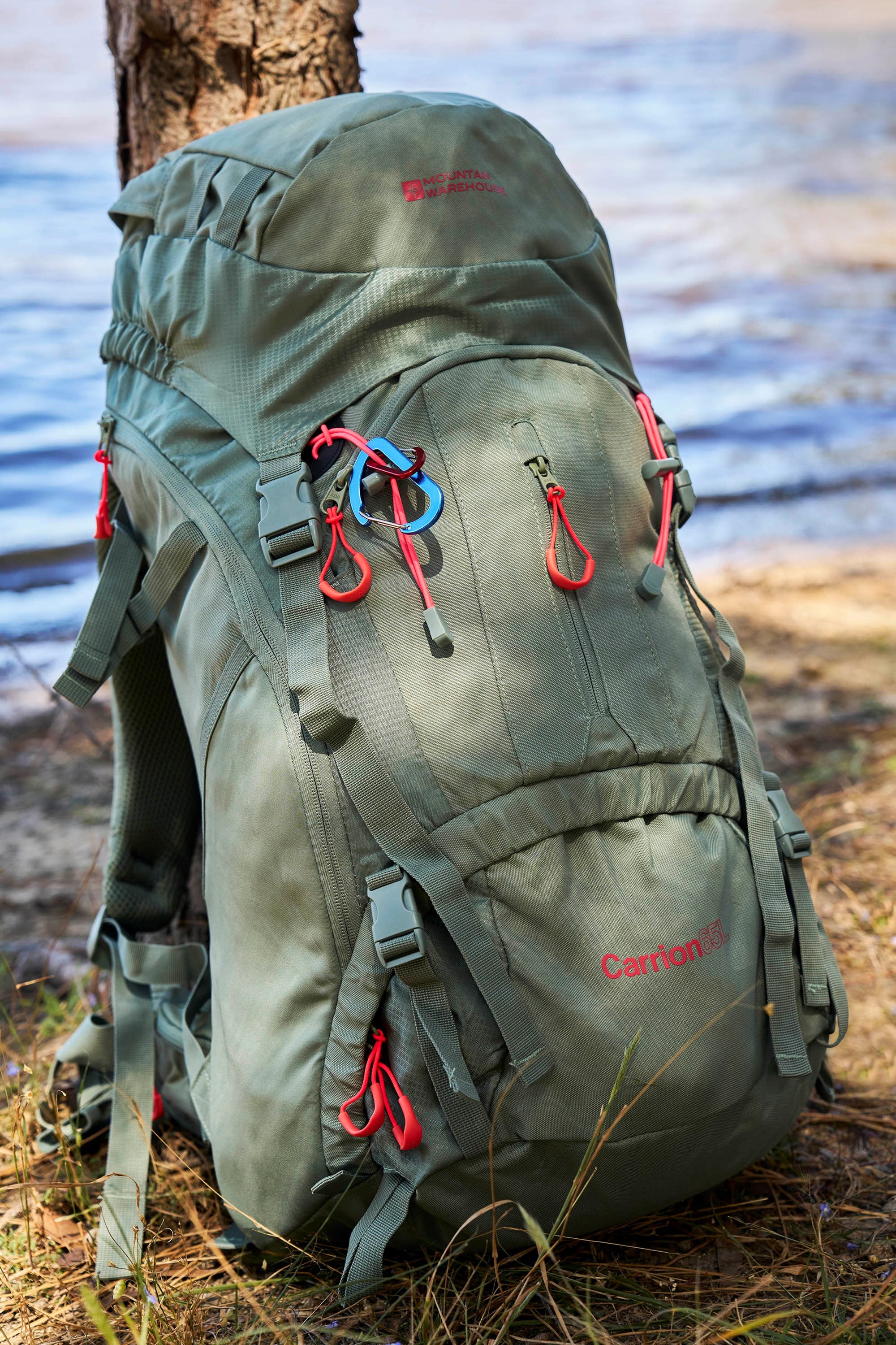 Carrion 65L Rucksack - Grün
