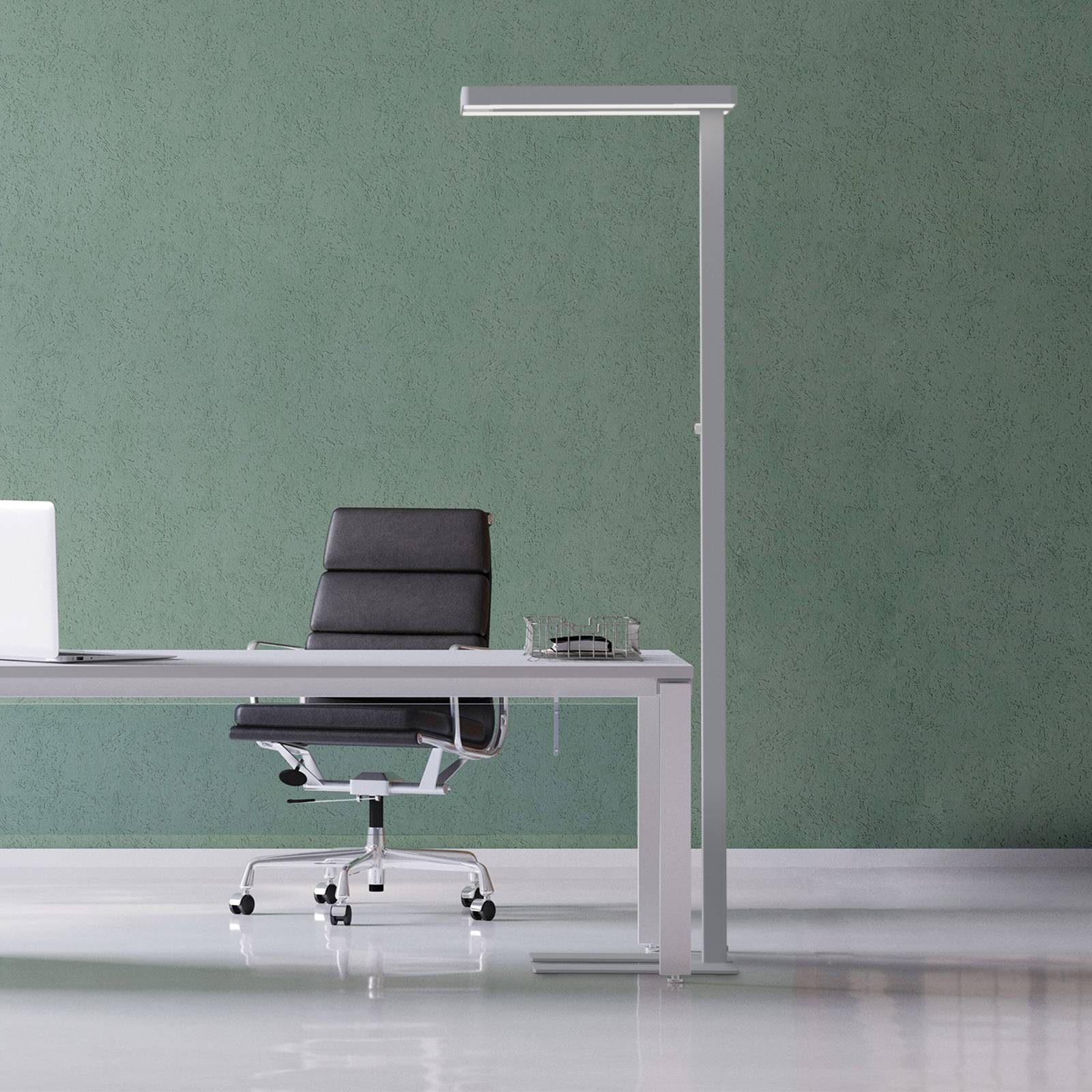 LED-Stehlampe MAULjaval, silberfarben, 196 cm, Standfuß dim