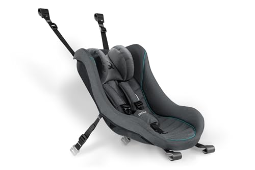 Qeridoo Babyschale dunkelgrau | Sicherheitsschale für Neugeborene im Kinderfahrradanhänger | Ergonomisch, gepolstert & atmungsaktiv | 5-Punkt-Gurt | Für EIN- & Zweisitzer bis 12 kg
