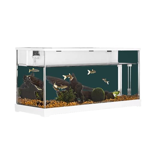 10 L Acrylic Aquarium Rechteckig Mit LED-Beleuchtung, Stille Wasserpumpe Eingebautem Filtersystem, Goldfischglas Aquarien Mini Aquarium Komplettset Für Fische Und Wasserpflanzen, 37.9 x 14.4 x 18.2 Cm