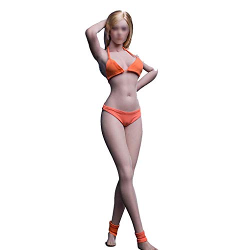 ZSMD Action Figur 1/6 Maßstab Weibliche Nahtlose Körper Figur Puppenkörper mit Edelstahlskelett, Kein Kopfbild (S33B)