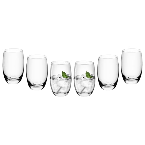 Gerlach 1760 Gläser Set 6 Teilig 450 ml Trinkgläser Wassergläser Spülmaschinenfest Glas Universalgläser Saftgläser Transparent Flo