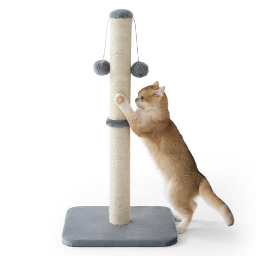 Lesure Kratzsäule Mittelgroßer für Katzen Indoor - 36x36x74cm Kratzstamm mit Hängendem Spielball, Kleiner Kratzbaum mit Sisalseil, Stabile Basis Kratzsäule, Grau
