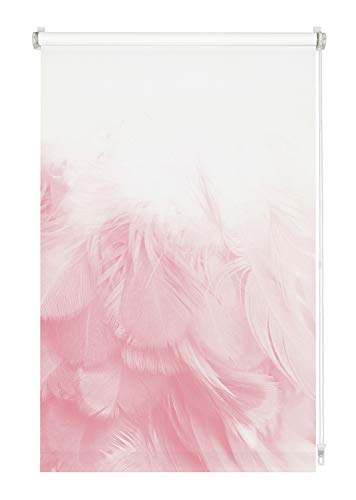 GARDINIA Rollo ohne Bohren, Zum Klemmen, Blickdicht, Sichtschutz, Blendschutz, Inkl. Aller Montage-Teile, Digiprint Federboa, Weiß/Dekor, 70 x 150 cm