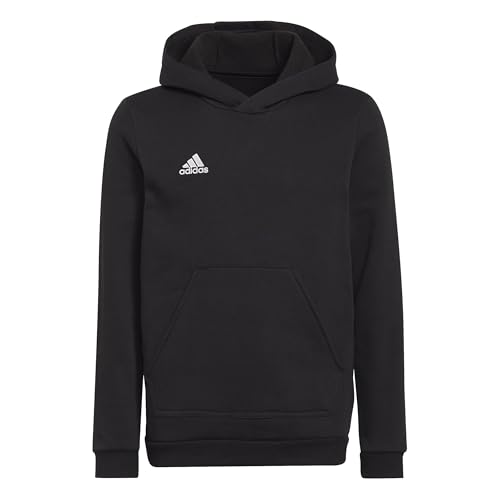 adidas Unisex Kinder Entrada 22 Sweat Hoodie, Black, 164