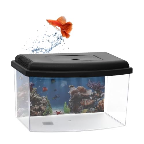 GarPet Mini Aquarium Terrarium Faunarium Zucht Becken klein Fisch Triops Garnelen Acryl Kunststoff Plastik mit Deckel Rückwandfolie
