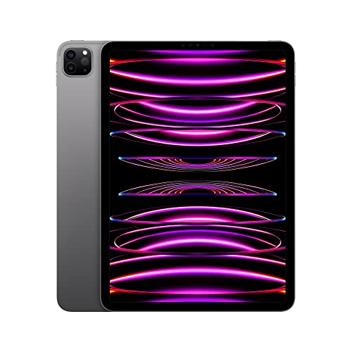 Apple 2022 11
