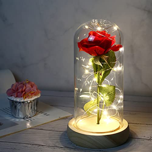Dream Loom Die Schöne und die Biest Rose, Ewige Rose in Transparente Kuppel,Geschenk für Muttertag, Jubiläum, Geburtstag, Valentinstag, Zimmer Dekor