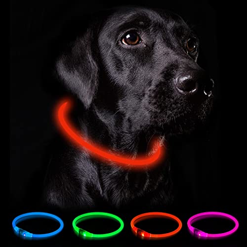Nepfaivy Leuchthalsband Hund USB Aufladbar - Wasserdichtes Hundehalsband Leuchtend mit 3 Beleuchtungsmodi, Längenverstellbareres LED Halsband für Kleine, Mittlere und Große Hunde (Rot)