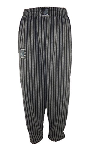 SGBB Bodybuilding Fitness Hose Gestreift Grau L