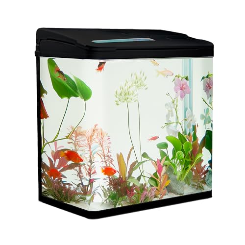 VIALIA Aquarium Komplettset mit LED-Beleuchtung, Pumpe und Filter, 38x24x43 cm, 30 Liter, Schwarz, Glasbecken für Fische und Wasserpflanzen
