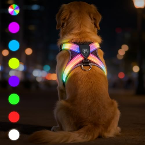 LED Hundegeschirr Leuchtend - Bequemes Leuchtgeschirr für Hunde, 7 Farben & Blinkmodi - USB-C Aufladbar, 11h Laufzeit - Für Mittelgroße Hunde 8-25kg