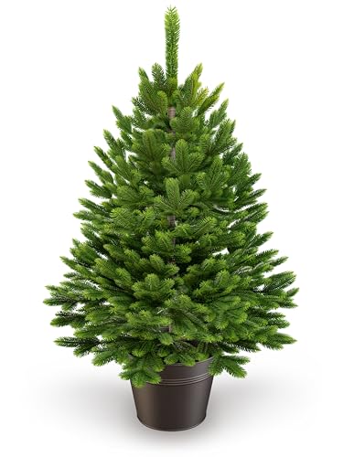 ArtiTree - Künstlicher Weihnachtsbaum 40cm im Topf - Christmas Tree für Innen und Außen, Kunstlich Baum für Weihnachtsdeko, Realistische Optik