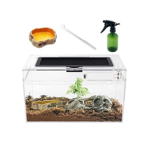 Mini Reptil Terrarium Set,12 