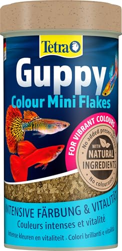 Tetra Guppy Colour Mini Flakes - Fischfutter für alle Guppys, feines Flockenfutter für kräftige Farben, 250 ml Dose