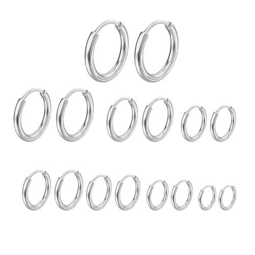 8 Paar Kleine Creolen Ohrringe Edelstahl, Hypoallergenes 316L Chirurgenstahl Ohrring-Set für Damen & Herren, 6–20 mm Silber Hoop Earrings für Ohrläppchen & Knorpel