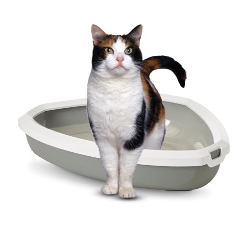 Katzentoilette