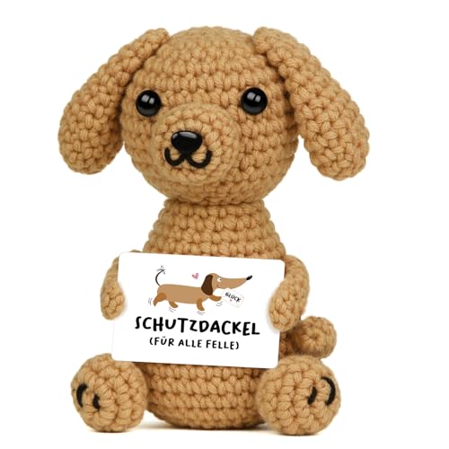 Giftasy Glücksbringer - Handgemachte Gehäkelte Dackel mit Energiekarte, Geschenke zur Einschulung, Mutmacher Geschenk, Positive Hug, Motivationsgeschenk