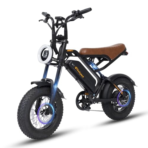 Bodywel M16 E Bike Herren Damen, 16x4.0 Zoll All Terrain E Fatbike City & Mountain, 48V 13Ah Akuu, 250W Motor, Reichweite 80km (PAS), LCD Display, Duale Lichter, Vollfederung Elektrofahrrad