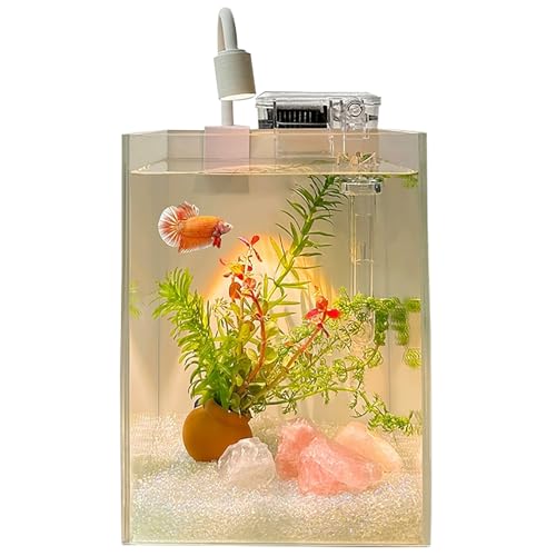 Kristallklares Mini-Aquarium mit Weißem Stein-Aquascape – Tischaquarium für Kampffische & Goldfische, Leiser Filter, Modernes Wohn- und Büro-Deko-Aquarium(Large)