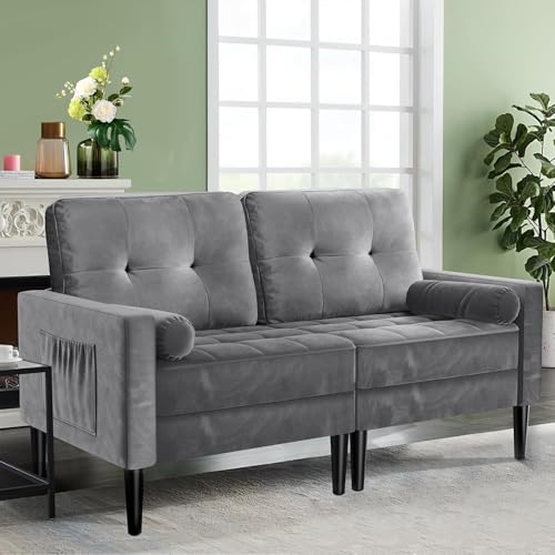 Aotumm Ciort 2-Sitzer-Sofa, Samt Couch mit 2 Kissen, Sitzkissen, Modernes Sofa in der Mitte des Jahrhunderts, kleine Sofas für Wohnzimmer/Wohnung/Schlafzimmer