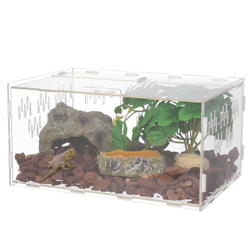 Halinuia Schnecken Terrarium, 30 x 20 x 15 cm Acryl Terrarium Reptil Fütterungsbox Transparent Mini Terrarium für Schnecken, Wasserschildkröten, SpinnenHamster, Einsiedlerkrebs, Echse