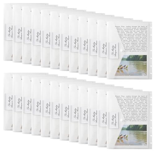 Dokumentenmappe A4, 24 Stück A4 Dokumententasche Transparent mit Etikettentasche, Wasserdichte Dokumentenmappe zum Abheften für Dokumente Organisieren Bürobedarf Hausaufgaben