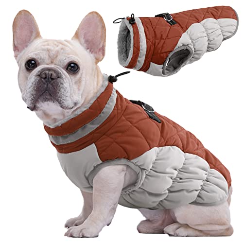 Kuoser Hundejacke Hundemantel für Kleine Hunde Winterweste, Wasserdicht Hunde Wintermantel Jacke Winter Hunde Mantel Mit Geschirr Warme Winterjacke Hundepullover Haustier Skifahren Kostüm Braun, XS