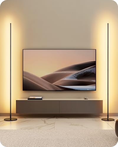 EDISHINE 2 Stück Stehlampe Wohnzimmer, LED Stehlampe Dimmbar, 3000K warmweiße Stehleuchte mit Memory-Funktion, höhenverstellbar 146 cm, moderne Standleuchte für Schlafzimmer und Büro, Schwarz