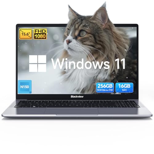 Blackview Acebook 6 Laptop 15,6 Zoll für Unternehmen Studierende, Quad-Core N150(Besser N95) bis zu 3.6GHz, 16GB RAM 256GB SSD Notebook, FHD IPS Display Augenschutz, 100W Type-C, 4K HDMI, Bluetooth