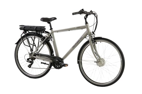 F.lli Schiano E-Moon, E Bike für die Stadt 28 Zoll, 36V 13Ah Abnehmbarer Akku, Motor 250W 40Nm, City Ebike für Herren, Grau