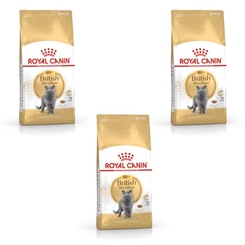 Royal Canin British Shorthair Adult | 3er Pack | 3 x 400 g | Alleinfuttermittel für British Shorthair Katzen | Speziell für Britisch Kurzhaar Katzen entwickelt | Ab dem 12. Monat