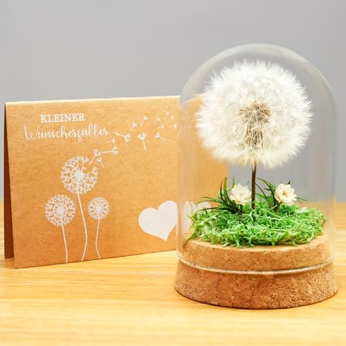Wunscherfüller Pusteblume im Glas - Besondere Geschenkidee, Geburtstagsgeschenk für Frauen, Glücksbringer und Kleinigkeit für Freundin, Deko Geschenke im Glas, Blumen Geschenk